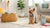 Exploring the Benefits of Wet Food for Dogs: A Comprehensive Guide for Pet Owners