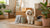 Homemade Dog Food with Chicken: A Thoughtful Approach to Nourishing Your Furry Friend