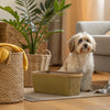 Homemade Dog Treats for Bad Breath: A Comprehensive Guide