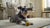 Homemade Dog Treats for Sensitive Stomach: A Tail-Wagging Guide