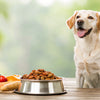 Homemade Food for Dogs with Allergies: A Comprehensive Guide