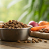 Homemade Food for Dogs with Diarrhea: A Comprehensive Guide