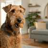 Homemade Meaty Dog Treats: A Delicious Way to Pamper Your Pup