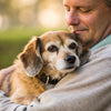 How Do You Put Weight on an Old Dog? A Comprehensive Guide for Pet Owners