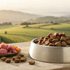 How is Wet Dog Food Made? A Deep Dive into the Process