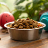 How Long Can Dry Dog Food Be Left Out? Essential Guidelines for Pet Owners