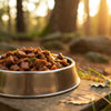 How Long Can You Leave Out Wet Dog Food? A Comprehensive Guide