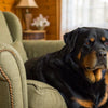 How Long Does Dry Dog Food Last Unopened? Understanding Shelf Life and Storage Tips
