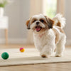 How Long Does Kibble Take to Soften? A Comprehensive Guide for Pet Owners