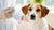 How Long Is Rabies Vaccine Good for Dogs: Understanding Duration and Best Practices