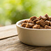 How Long Is Wet Dog Food Good After Expiration Date? A Comprehensive Guide for Pet Owners