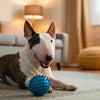 How Many Cups of Dry Dog Food Are in a Pound? A Comprehensive Guide for Pet Owners
