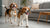 How Many Grapes Can a Dog Eat? Understanding Grape Toxicity for Dogs