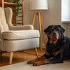 How Many Treats Can a Puppy Have? A Comprehensive Guide for Pet Owners