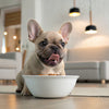 How Much Banana Can a Dog Eat? A Comprehensive Guide for Dog Owners