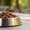 How Much Canned Food Should My Dog Eat? A Comprehensive Guide for Pet Owners