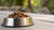 How Much Canned Food Should My Dog Eat? A Comprehensive Guide for Pet Owners