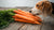 How Much Carrots Can a Dog Eat? A Comprehensive Guide for Pet Owners