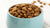 How Much Does a Cup of Dog Kibble Weigh? Understanding Pet Nutrition for Optimal Health