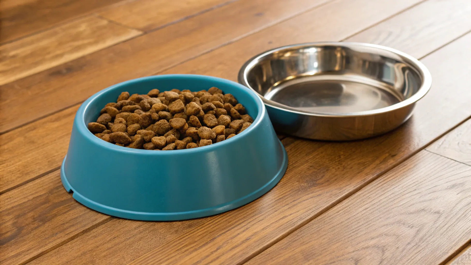 How Much Does a Dog Food and Water Bowl Cost?
