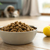 How Much Dry Dog Food to Feed Your Dog: A Comprehensive Guide