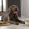 How Much Food Should a 20 Pound Dog Eat? A Comprehensive Guide