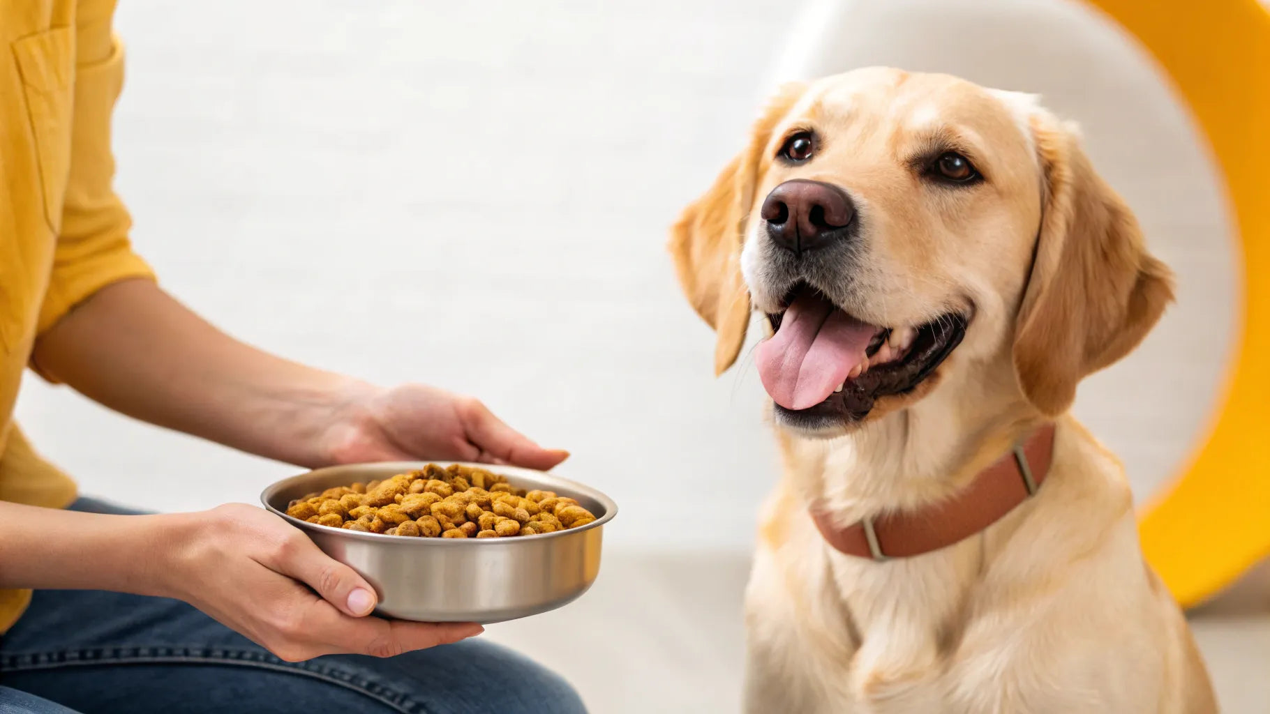 Frequently Asked Questions of How Long Will My Dog Food Last Calculator?