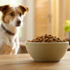 How Much Kibble for Dog: The Ultimate Guide to Feeding Your Furry Friend