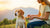 How Much Should I Feed My Dog by Weight: A Comprehensive Guide for Pet Owners