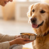 How Much to Feed Your Dog by Weight and Age: A Comprehensive Guide for Pet Owners