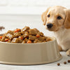 How Much Wet Dog Food to Feed a Puppy: A Comprehensive Guide for Puppy Parents