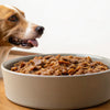 How Often Should I Feed My Dog Wet Food: A Comprehensive Guide