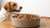 How Often Should I Feed My Dog Wet Food: A Comprehensive Guide