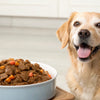 How Often Should You Feed Your Dog Wet Food for Optimal Nutrition?