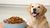 How Often Should You Feed Your Dog Wet Food for Optimal Nutrition?