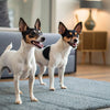 How Often to Feed a 3 Week Old Puppy: Essential Guidelines for New Pet Parents