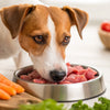 How to Calculate How Much Raw Food to Feed Your Dog: A Comprehensive Guide