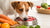 How to Calculate How Much Raw Food to Feed Your Dog: A Comprehensive Guide
