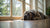 How to Clean a Dog Wound: A Comprehensive Guide for Pet Owners