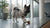How to Determine How Much Wet Food to Mix with Dry Dog Food