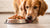 How to Feed Your Dog Raw Food: A Comprehensive Guide for Dog Owners