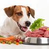 How to Get Your Dog to Eat Raw Food: Tips for a Seamless Transition