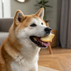 How to Give Dry Food to Your Dog: A Comprehensive Guide for Pet Owners