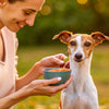 How to Help a Skinny Dog Gain Weight: A Comprehensive Guide for Caring Pet Owners