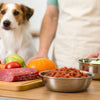 How to Introduce Raw Dog Food: A Comprehensive Guide for Pet Parents