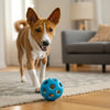 How to Make Dog Kibble at Home: A Complete Guide for Pet Owners