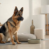 How to Make Dog Training Treats: A Comprehensive Guide for Pet Owners