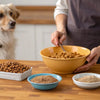 How to Make Dog Treats from Kibble: A Simple Guide for Pet Owners