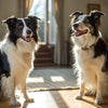 How to Make Easy Dog Treats: A Comprehensive Guide for Pet Lovers
