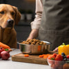 How to Make Wet Food for Dogs: A Comprehensive Guide